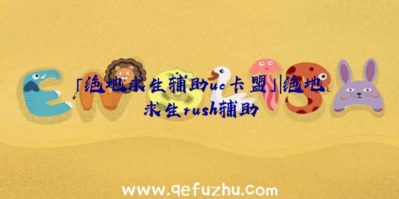 「绝地求生辅助uc卡盟」|绝地求生rush辅助